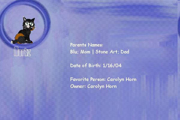 A certificate for Markz