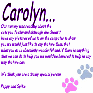 A sweet thought from Nik