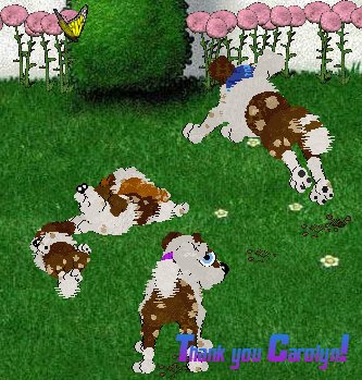 thankyou for nursery freedom