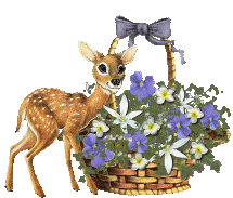 'Site Fights' Blooming Basket from Antoinette