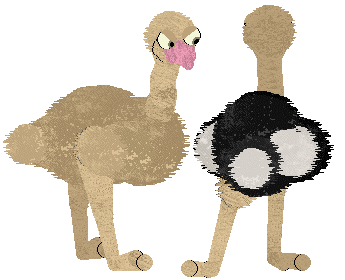 Ostrich
