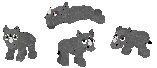 Rhino