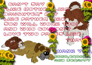 A lovely thank you from Ashlie