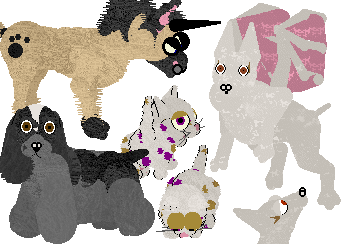 Happy birthday from Wardah Ahmar of Rose Garden Network