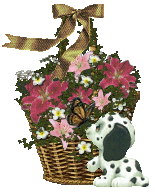 'Site Fights' Blooming Basket from Antoinette