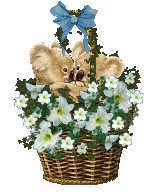 A Site Fights Blooming Basket from Megan