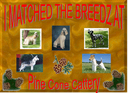 I matched the breeds!