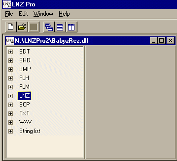 opening the .dll file