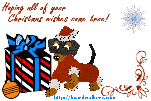 happy xmas from sue