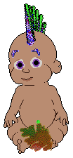 Aaron