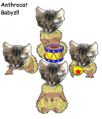 Anthrocat