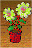 Blooms
