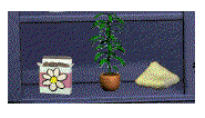Tall green plant
