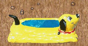 Kiddie Pool