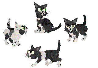 Sphynx(B+W)