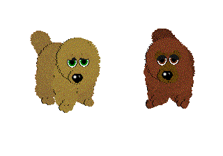 ChowChow