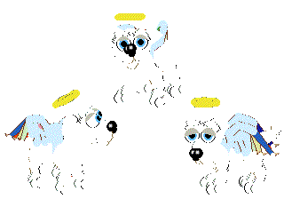 Cupid