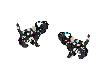 DarkDalmatian