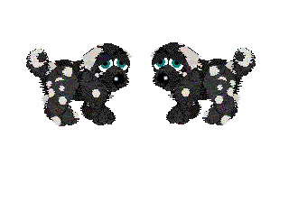 DarkWinterDalmatian