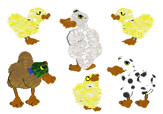 Duckoddz