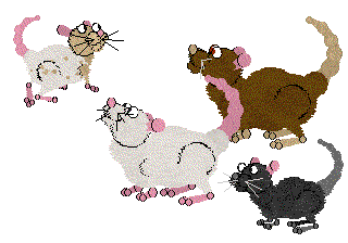 Fancy Ratz
