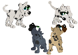 HarlequinGreatDane