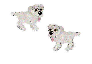 Labrador(OverwritesOriginal)