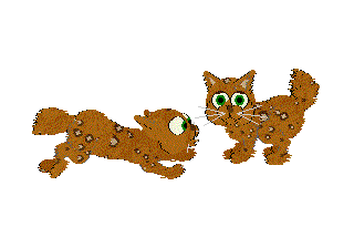 Leopardcoon