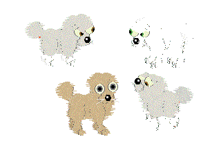 Maltese