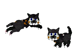 MeowMeow