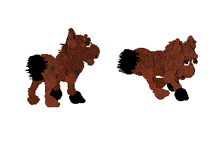 Minihorse