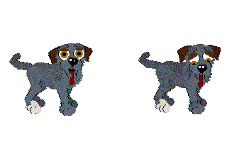 Orange-EyeBlue