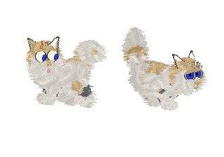 Patchpersian