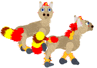 Ponyta