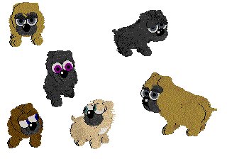 Pug(old)