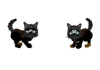 SassyTabby