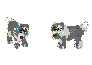 SnoWolf