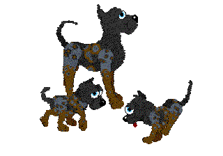 Spotted Leopard Dane