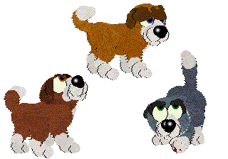 StBernard