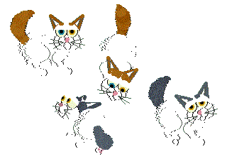 Turkishvan