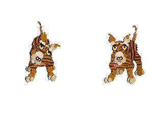 TygerDane