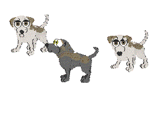 Whippet