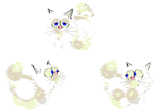 WhiteAngora