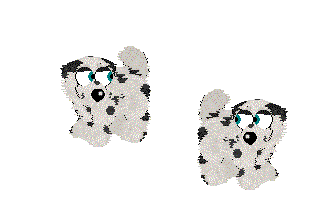 WinterDalmatian