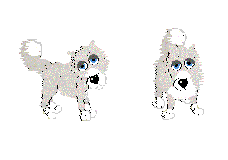 Wolfdog