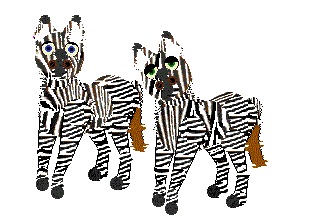 Zebra