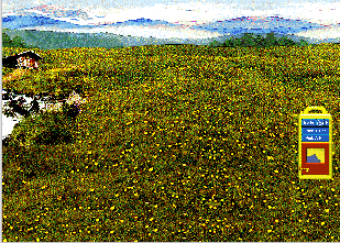 Alpine Meadow version B