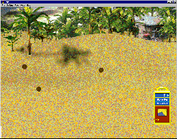 Caribbean