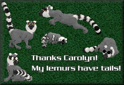 Vickie's brilliant Lemurs in action