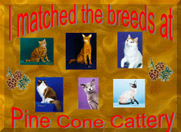 I matched the breeds!